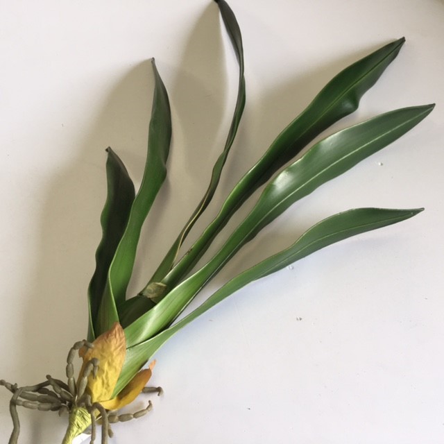 GREENERY, Orchid Leaves 60cm